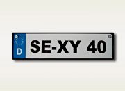 Autokennzeichen  *SE-XY 40* Metall
