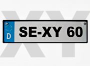 Autokennzeichen  *SE-XY 60* Metall